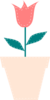 Tulip In Flower Pot Pastel Clip Art